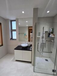 Cairnhill Crest (D9), Condominium #473751241